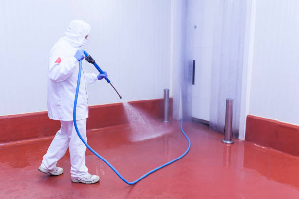 Best Driveway Pressure Washing  in Three Rivers, TX
