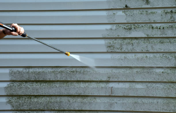 Best Building Exterior Washing  in Three Rivers, TX