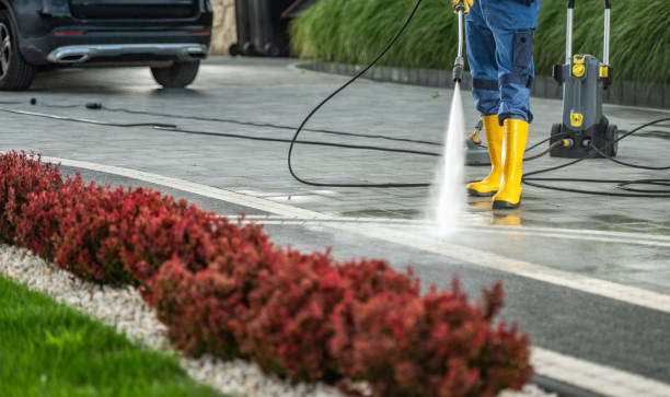 Best Fence Cleaning  in Three Rivers, TX